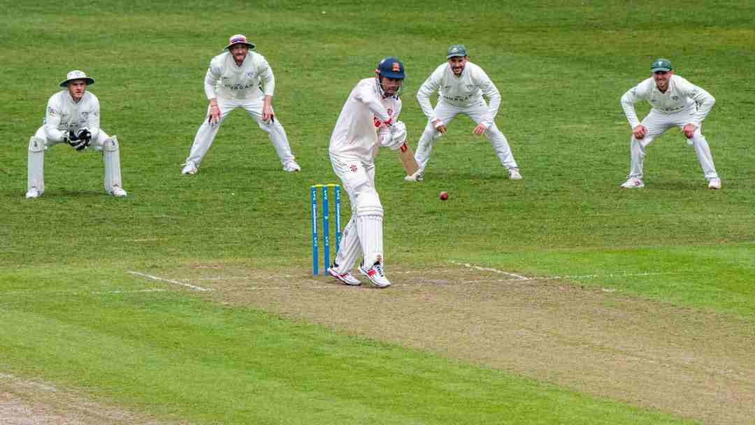 Cricket mang đến cho người chơi sự mới mẻ