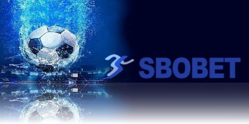 Các bước đăng ký đại lý Sbobet cổng cược trực tuyến