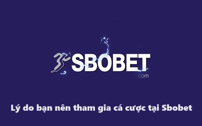 Sân chơi cá cược Sbobet với nhiều ưu điểm nổi bật